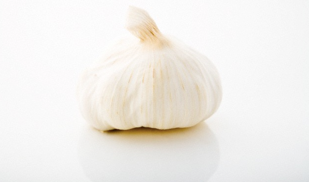Garlic
