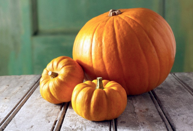 Three pumpkins of different sizes