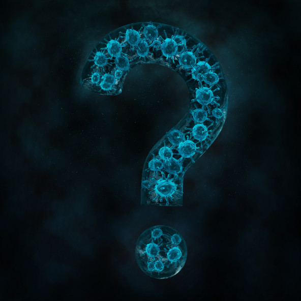 question mark virus BV