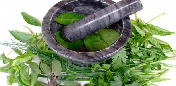 68355-herbs_with_pessel_615_x_300