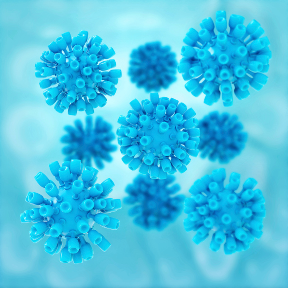 hepatitus virus- 3d picture