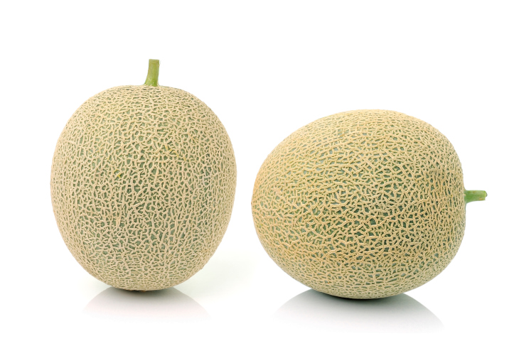 Melon