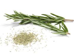 rosemary