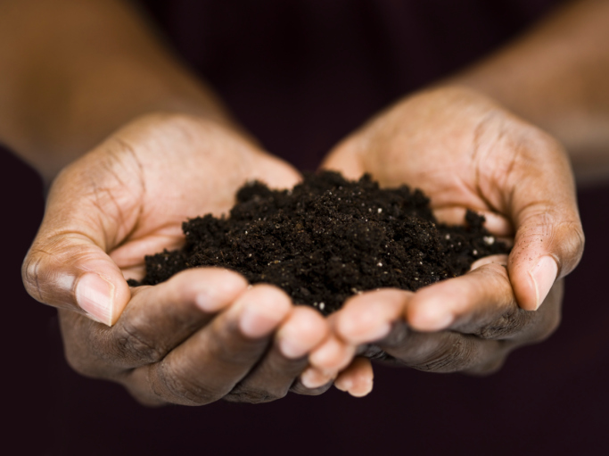 hands holding the soil
