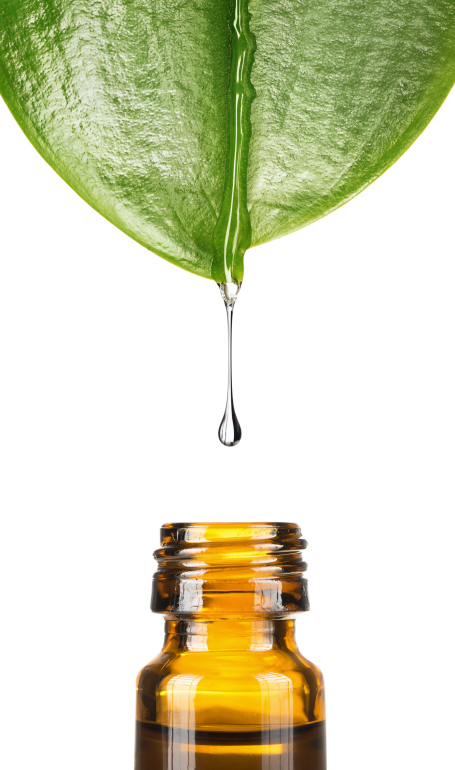essential from leaf