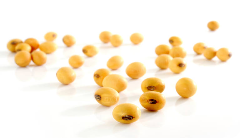 soy beans