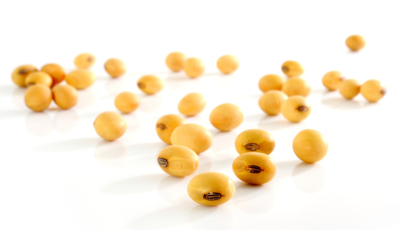 soy beans