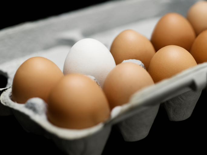 White Egg in a Carton of Brown Eggs