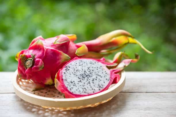 pitaya fruit
