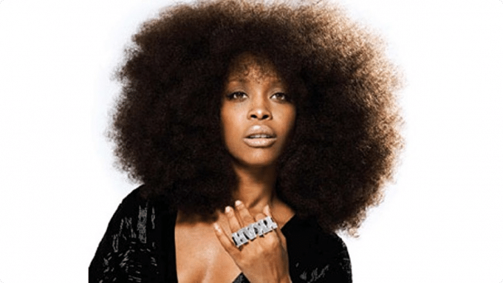 Erykah Badu hair