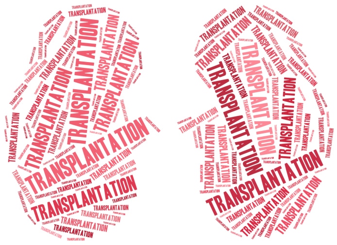 Kidney transplantation Word cloud illustration