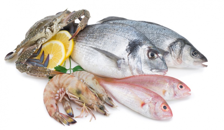 fish, shrimp, crab seafood