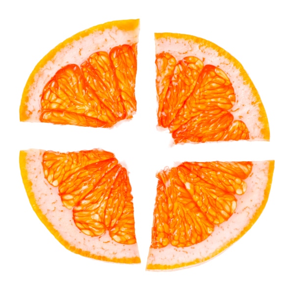citrus orange slices