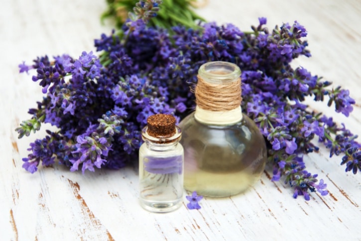 fresh lavender and massage oil