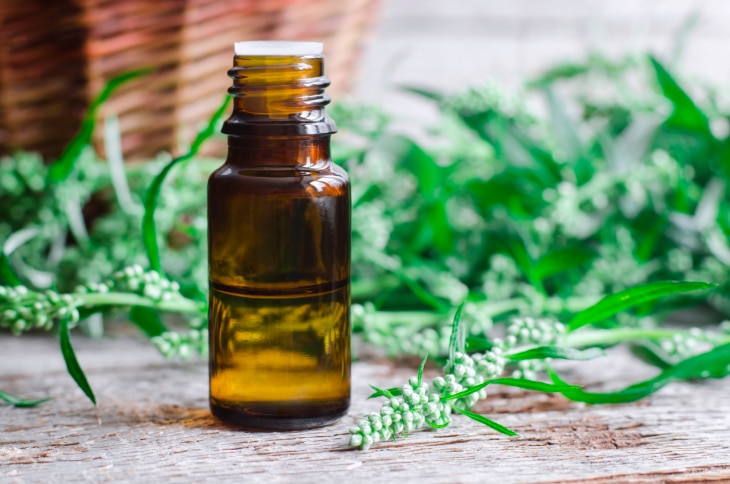 Best Natural Oils for Hair