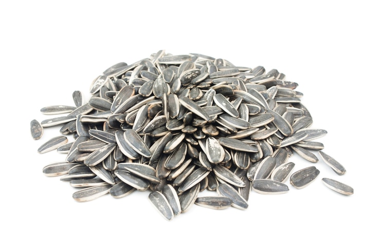 Sunflower seeds