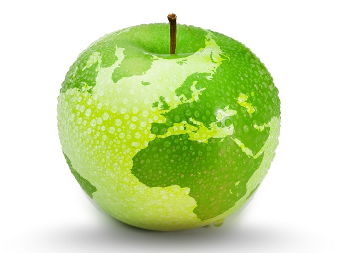 Apple with world map
