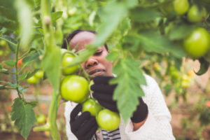 Natural Ways to Detox