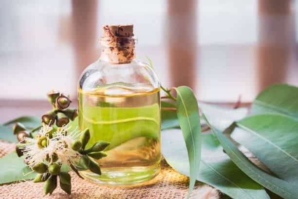 how to detox your lungs