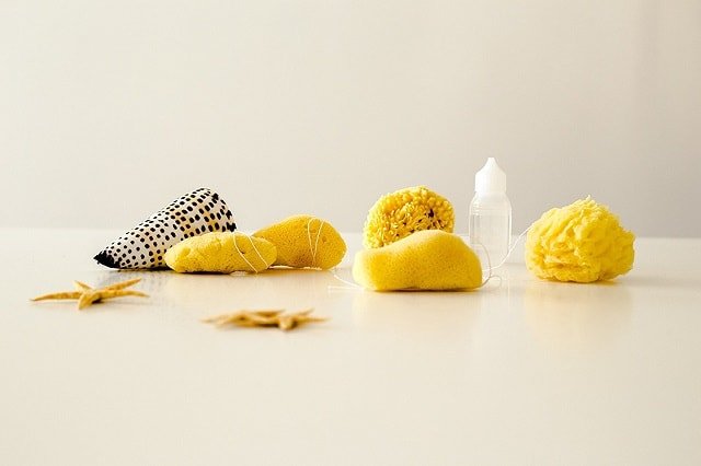Menstrual sponge