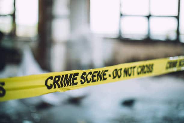 US murder rate