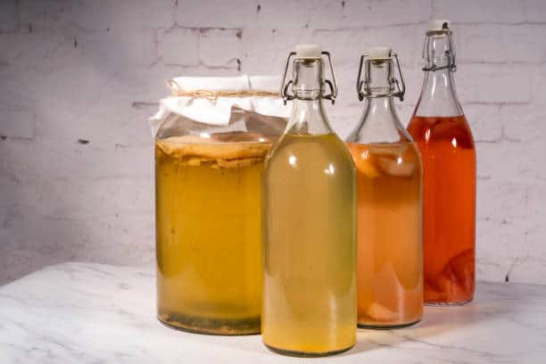 kombucha