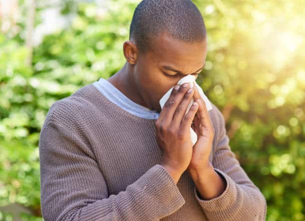 how to avoid spring allergies