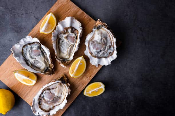 oysters