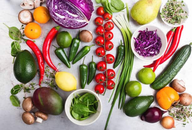 plant based diet