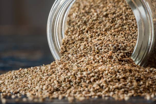 anti inflammatory spices