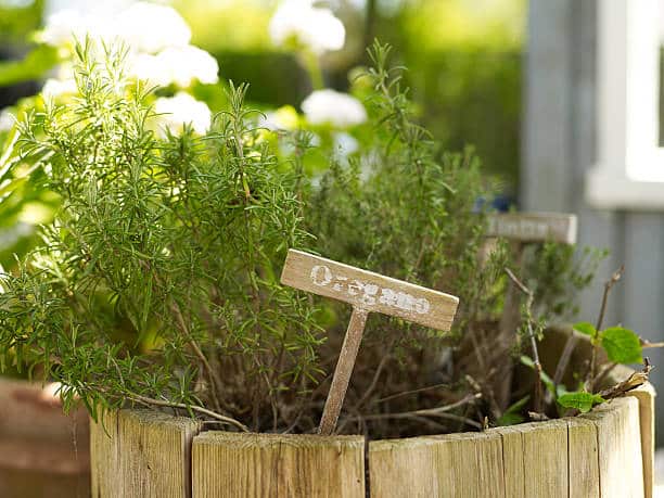 how to detox your lungs