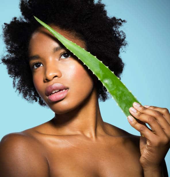 aloe vera benefits