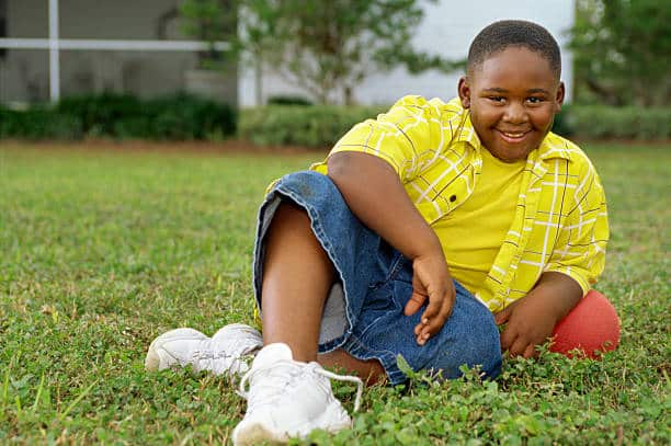 obesity effects on the brain