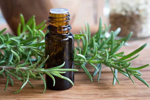 Rosemary Oil Benefits