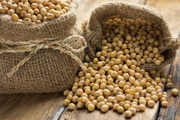 soy 