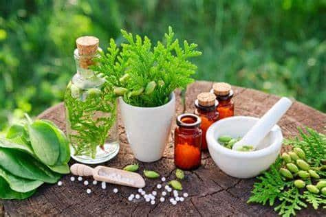 exploring alternative medicine