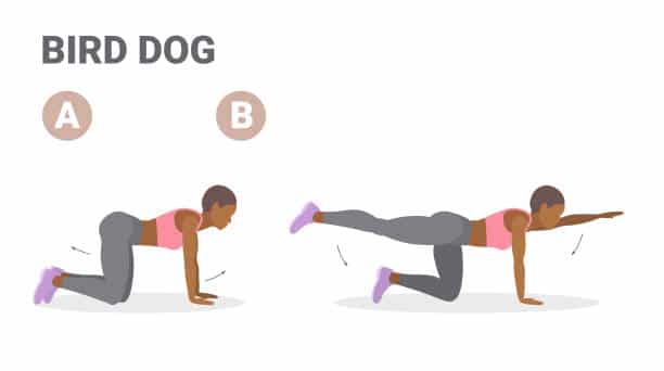 exercises for lower back pain