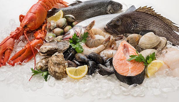 vitamin b12 foods