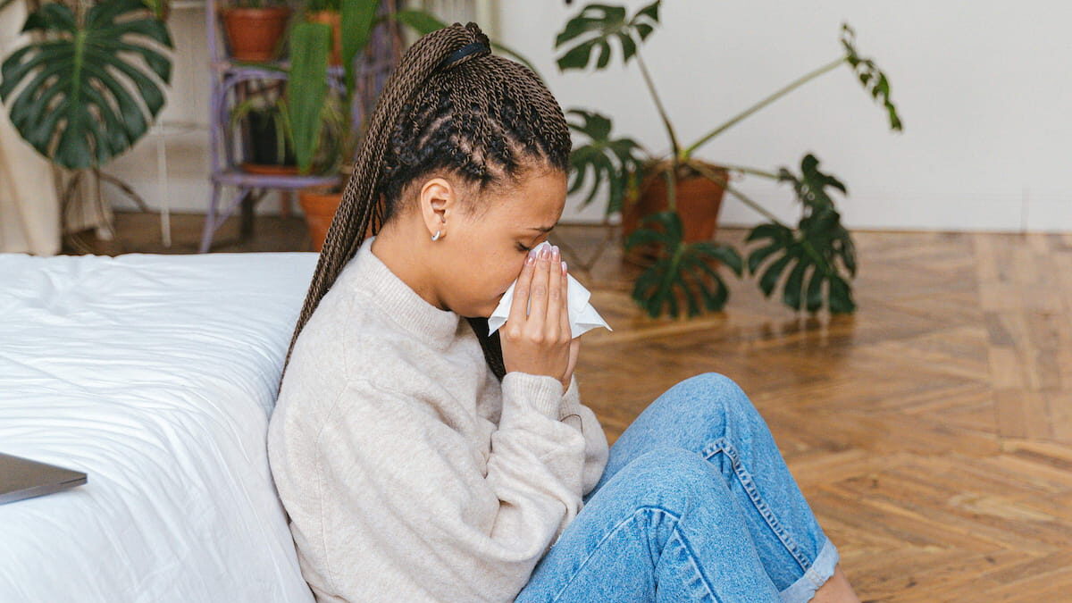 The Art of Baking: From Classic Bread to Artisan Pastries