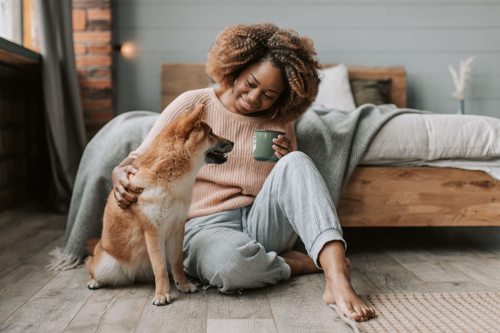 New Research Explores How Therapy Dogs Could Support Stroke Recovery